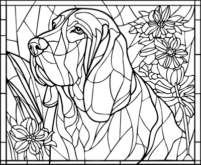 Hond 01