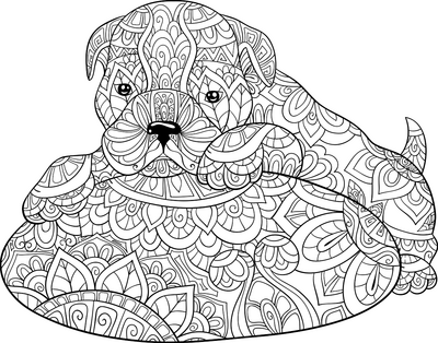 Hond 22