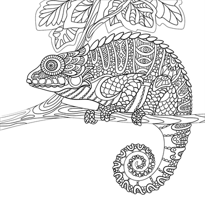 Kameleon