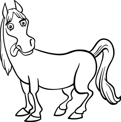 Paard