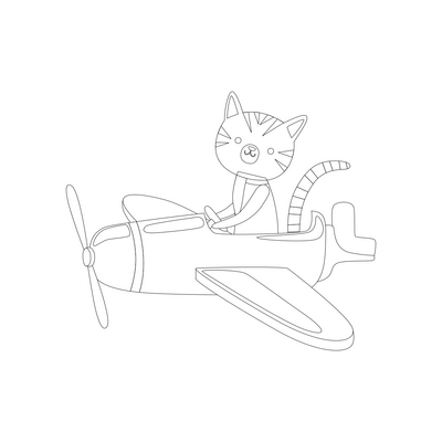 Kattenvliegtuig