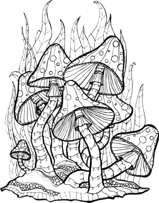 Paddenstoelen