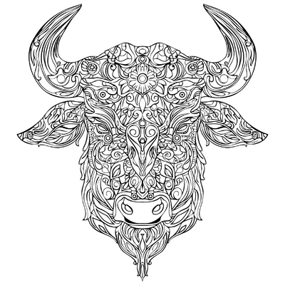 Koe