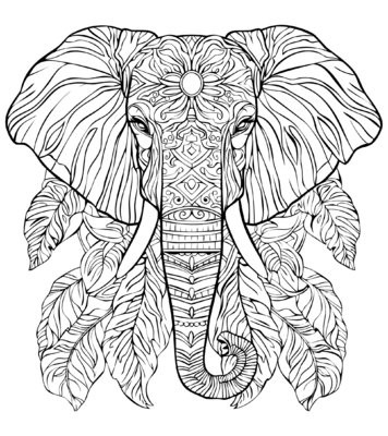 Olifant 02