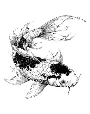 Koi karper