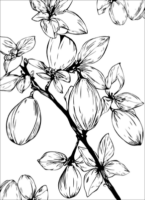 Bloemen 02