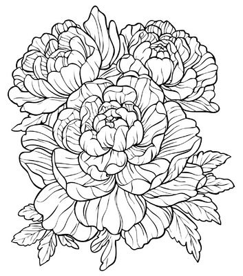 Bloemen 08